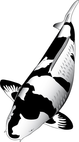 KOI Vitamine 3 Liter Koi-Vitas für alle Gartenteichfisc