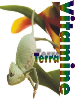 Vitamine  für Terrarientiere Terra Vitas 3 Liter
