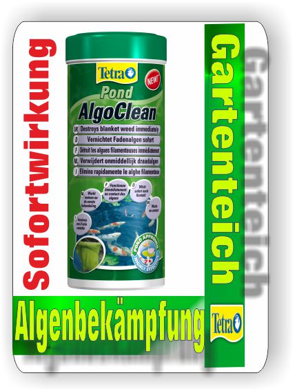 Anti Algen Programm