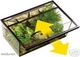 Terrarien