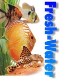 Wasseraufbereiter Fresh-Water 5 Liter für Aquarium